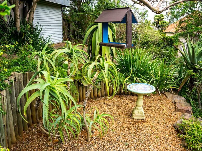 Hostal Mackaya Bella Guest House