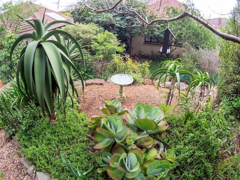 Hostal Mackaya Bella Guest House