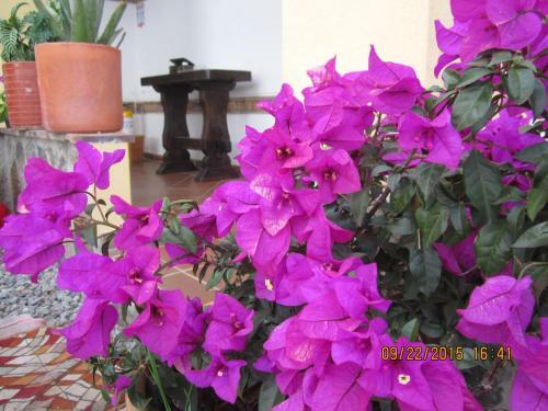 Hotel Villa Sofia