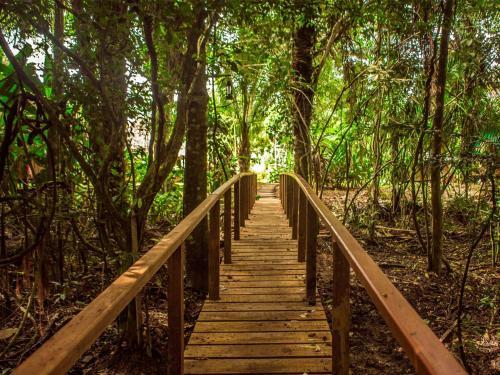 Lodge Corto Maltes Amazonia