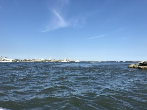 Apartamento Harbour Island 302k