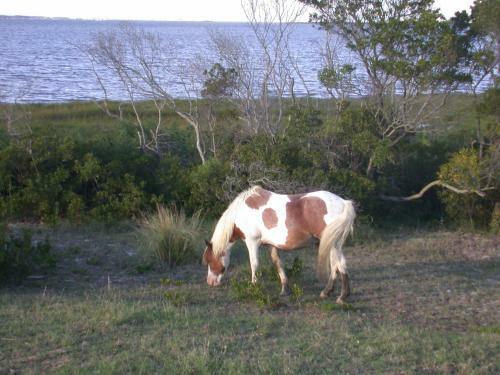 Apartamento Barefoot Country 301