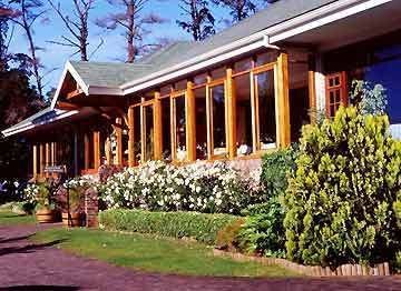 Hotel Knysna Hollow