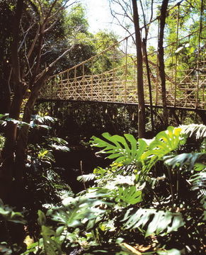 Hotel Cascades (luxury Twin)