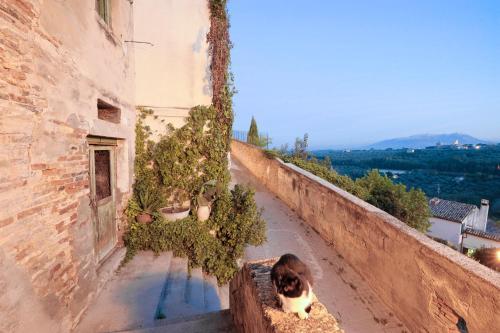 Hotel Castello Chiola