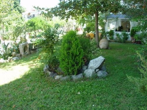 Apartamento Studios Zoi