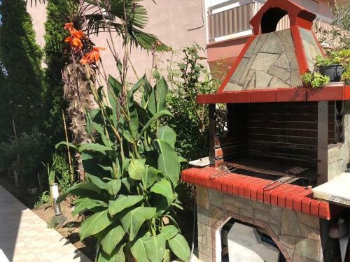 Apartamento Rooms Lazos