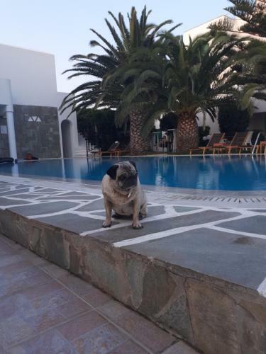 Aparthotel Annita's Village Hotel