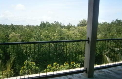 Apartamento Mangrove Lagoon View