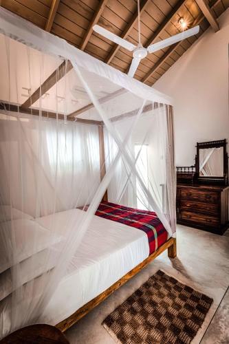 Serendipity House