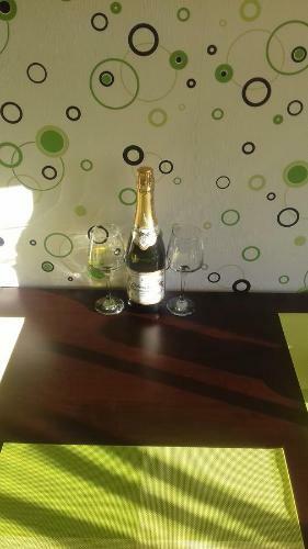 Apartment Minskie Kanikuly