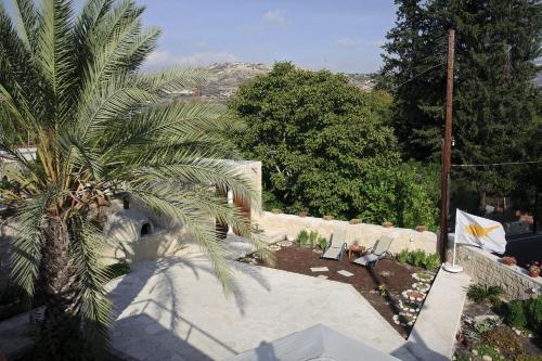 Hostal Palm Tree Oriental House And Homestay