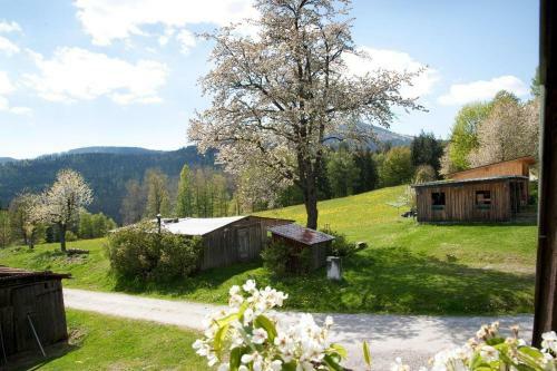 Agroturismo Landhof Steinh�tte