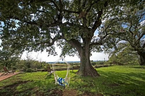 Villa Dream