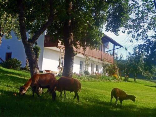 Agroturismo Ferienhof Pfeffer