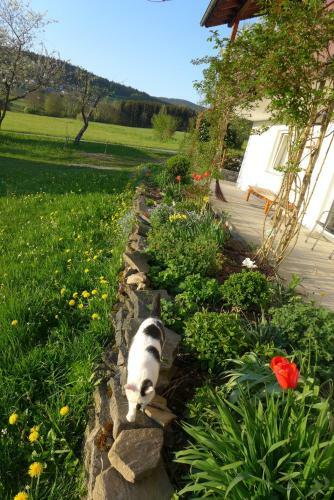 Agroturismo Ferienhof Pfeffer