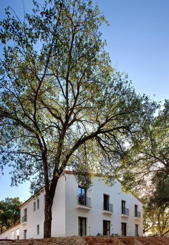 Agroturismo Tambor Del Llano