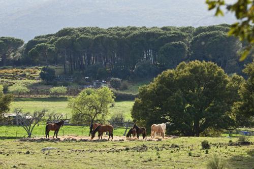 Agroturismo Tambor Del Llano