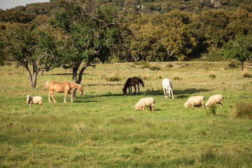 Agroturismo Tambor Del Llano