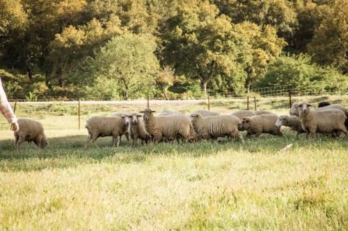 Agroturismo Tambor Del Llano