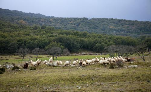 Agroturismo Tambor Del Llano