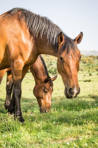 Agroturismo Tambor Del Llano
