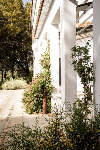 Agroturismo Tambor Del Llano