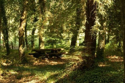 Agroturismo Quinta Da Fontoura