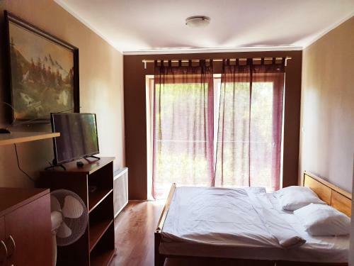 Hostel Kaktus