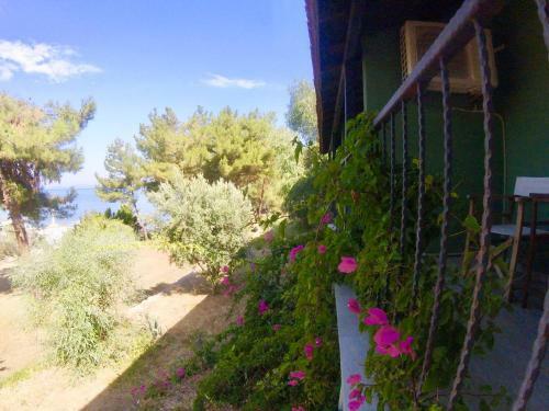 Rainbow Bay Ozdere Beach Hotel