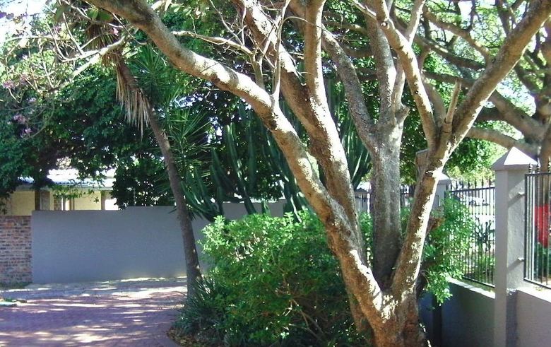 Bed & Breakfast Amanzi Guest House