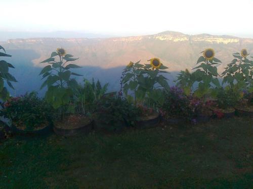 Agroturismo Caba�as Campestres