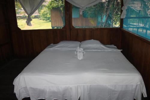 Lodge Tropical Adventures & Expeditions