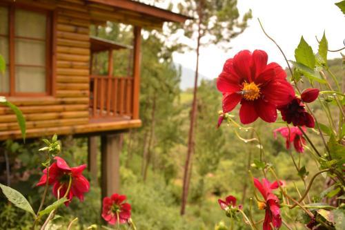 Lodge Altares De Oxapampa