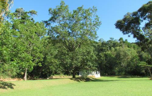 Fazenda S�o Miguel