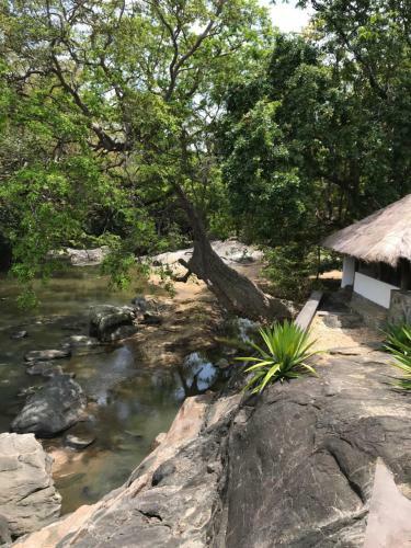 Hotel Galapita Eco Lodge