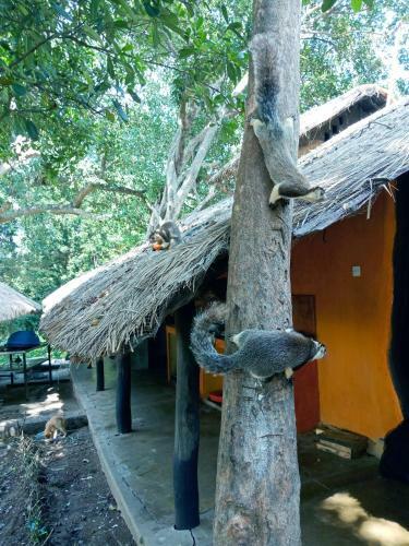 Hotel Galapita Eco Lodge