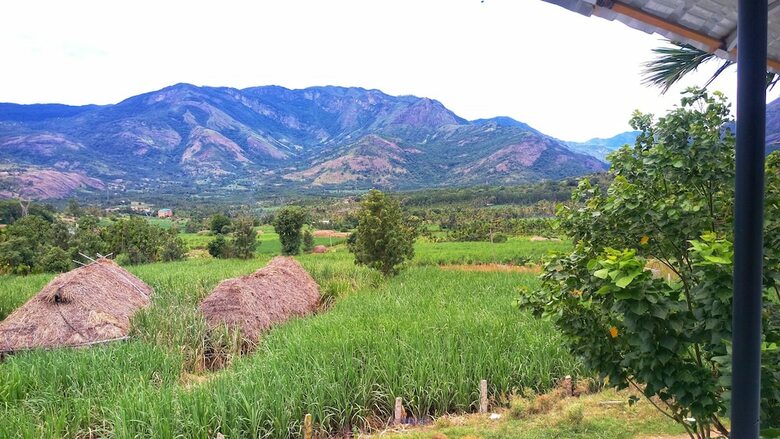 Bed & Breakfast Marayoor Holidays