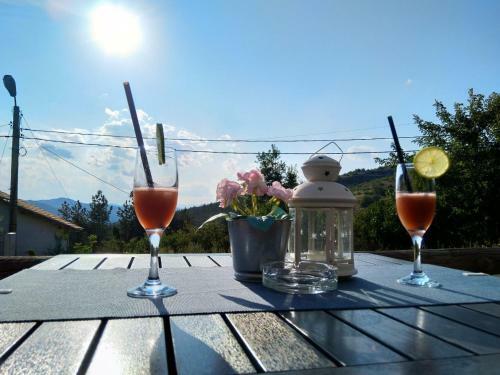 Family Hotel Friends Villa