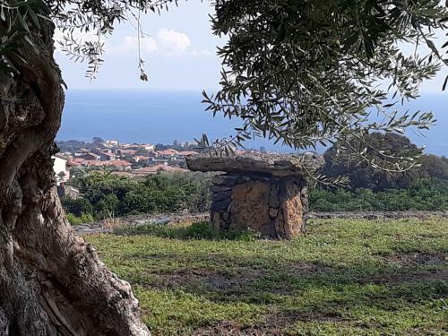 Casa Vacanze Profumo Di Zagara