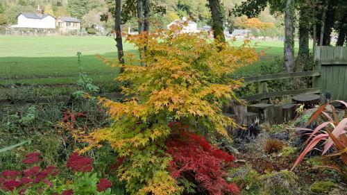 Bed & Breakfast Lowther House