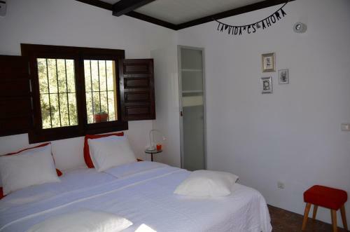 B&B Finca Alegria De La Vida