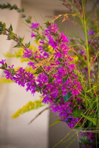 Bed & Breakfast La Caramellina