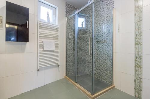 City Apartment Trifoiului