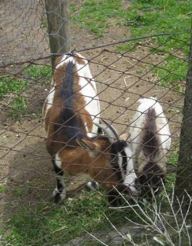 Agroturismo La Fattoria La Cacciata