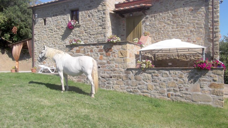Agroturismo Agriturismo La Coccinella