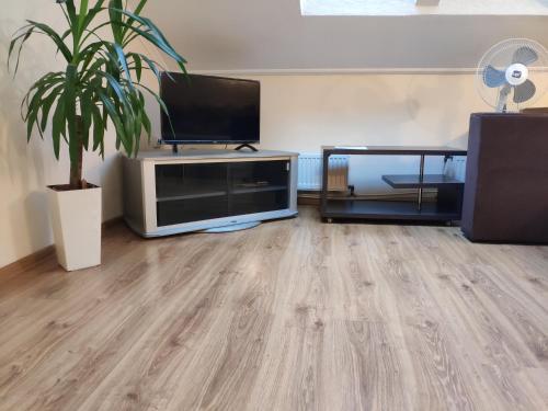 Want This!new Premium Apartment Near Center