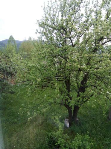 Holiday Home Tihiy Dvor