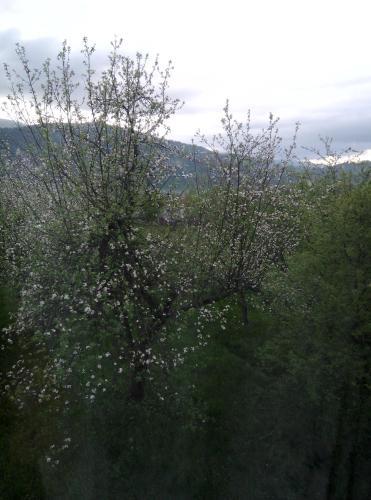 Holiday Home Tihiy Dvor