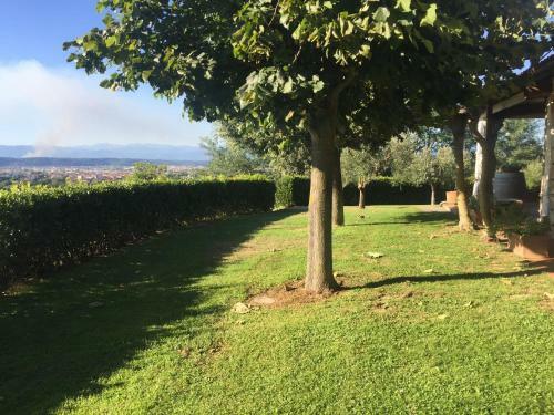 Agroturismo Tenuta Di Montalto